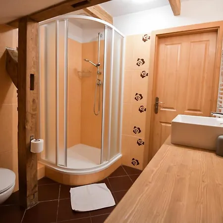 Renata 3* Harrachov