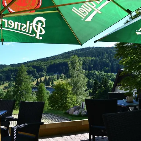 Renata 3* Harrachov