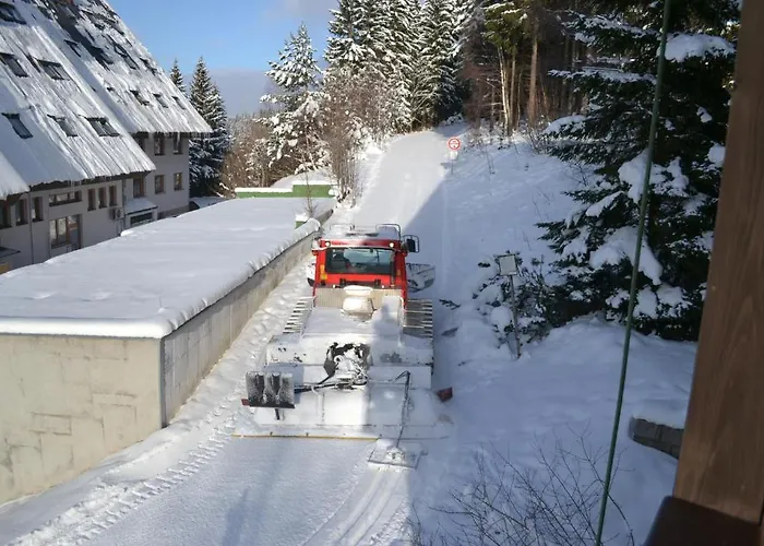 Konukevi Renata Harrachov